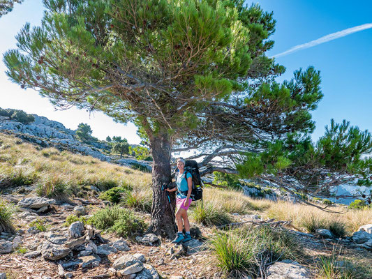 Mehrtagestrekking auf dem GR 221 auf Mallorca - Etappe 7 der Wanderung von Valldemossa nach Deià.