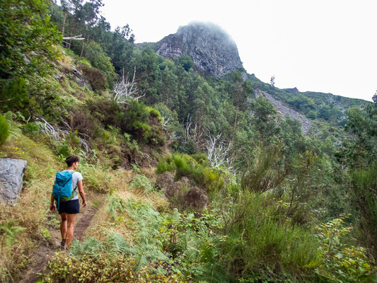 Madeira - die schönsten Wandertouren auf der Blumeninsel (hier: Gipfeltour auf den Pico Grande)