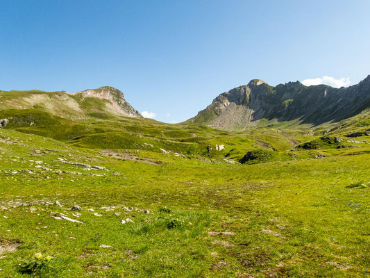 Bergwanderungen rund um die Freiburger Hütte im Lechquellengebirge (Touren: Formaletsch, Pöngertlekopf, Roggelskopf).