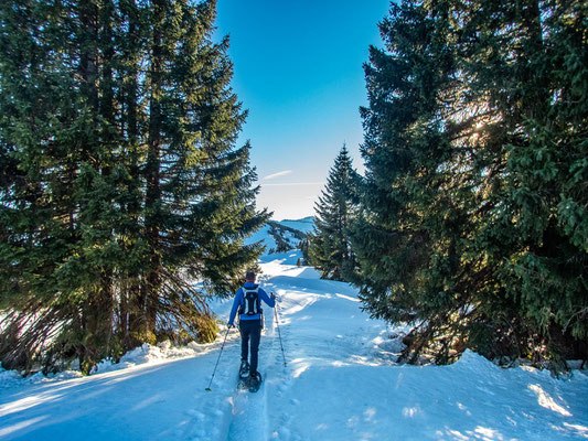 Abwechslungsreiche Schneeschuhtour in den Allgäuer Alpen - hinauf auf's Bleicherhorn, Höllritzereck, Ostertalberg und Tennenmooskopf.