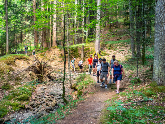 Bilder vom Wanderglück-Wochenende im Allgäu mit Wanderungen über die Nagelfluhkette, gemeinsamen Erlebnissen und gelebter Integration.