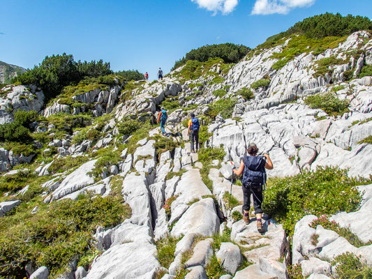 Bergwanderungen rund um die Freiburger Hütte im Lechquellengebirge (Touren: Formaletsch, Pöngertlekopf, Roggelskopf).