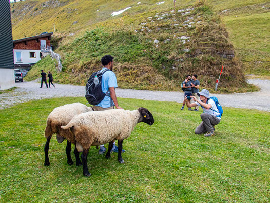 Integrationsprojekt "Wanderglück" unterwegs auf dem Lechweg im idyllischen Lechtal.