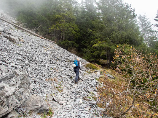 Hexensteig - der ausgefallenen Klettersteig bei Silenen, bei dem es über Baumstämme im Inneren eines Berges nach oben geht.