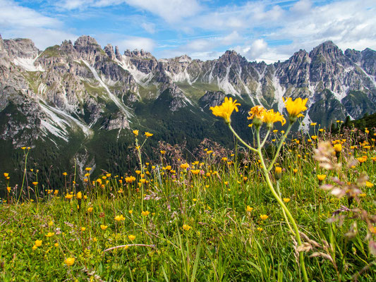 Spektakulärer Gipfel und Adrenalin pur, verspricht der Schlicker bzw. Ochsenwand Klettersteig in den Stubaier Alpen.
