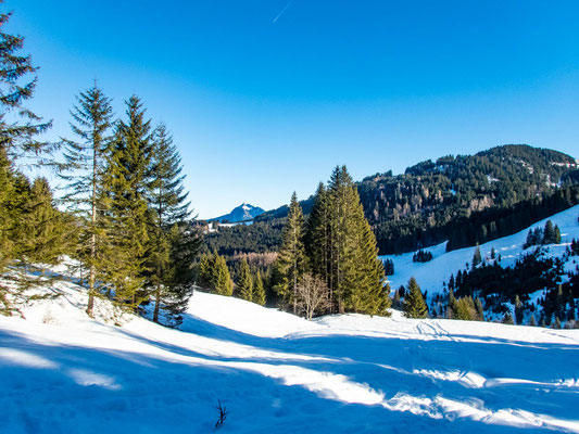 Abwechslungsreiche Schneeschuhtour in den Allgäuer Alpen - hinauf auf's Bleicherhorn, Höllritzereck, Ostertalberg und Tennenmooskopf.