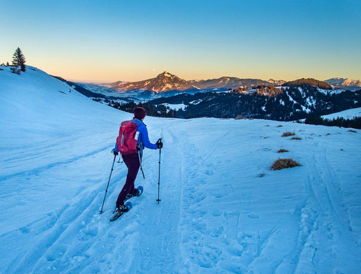 Abwechslungsreiche Schneeschuhtour in den Allgäuer Alpen - hinauf auf's Bleicherhorn, Höllritzereck, Ostertalberg und Tennenmooskopf.