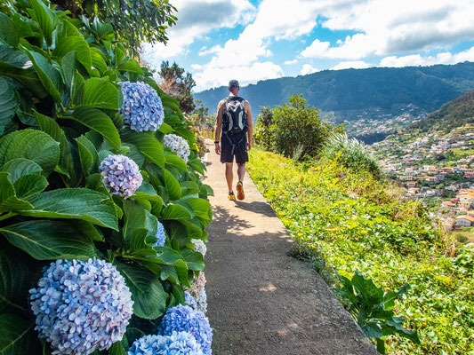 Madeira - die schönsten Wandertouren auf der Blumeninsel (hier: Küstensteig Porto da Cruz nach Machico durch die Boca do Risco)
