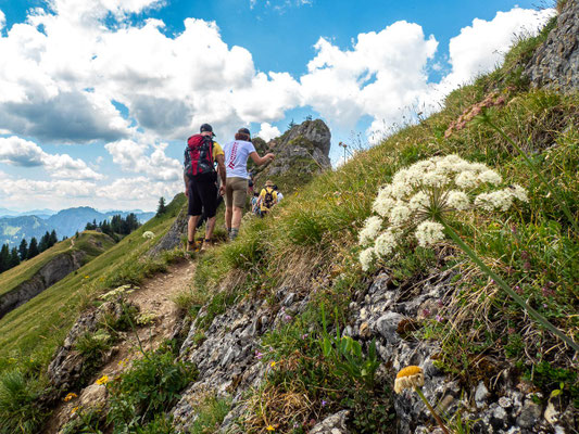 Bilder vom Wanderglück-Wochenende im Allgäu mit Wanderungen über die Nagelfluhkette, gemeinsamen Erlebnissen und gelebter Integration. (hier: Wanderung Steineberg)