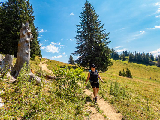 Bilder vom Wanderglück-Wochenende im Allgäu mit Wanderungen über die Nagelfluhkette, gemeinsamen Erlebnissen und gelebter Integration. (hier: Wanderung Steineberg)