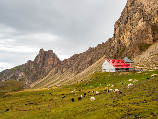 Dolomiten-Durchquerung durch die Seiser Alm und das Rosengartenmassiv mit Wanderung von der Langkofelhütte zur Grasleitenpasshütte bei Regen, Nebel und alpiner Berglandschaft