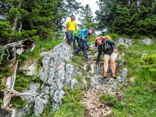 Mit unserem Integrationsprojekt "Wanderglück" ging es dieses Jahr zum Wandern in die Bergwelt im Schwangau.