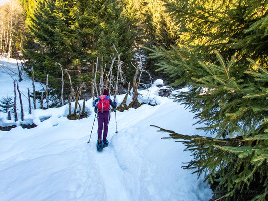 Abwechslungsreiche Schneeschuhtour in den Allgäuer Alpen - hinauf auf's Bleicherhorn, Höllritzereck, Ostertalberg und Tennenmooskopf.