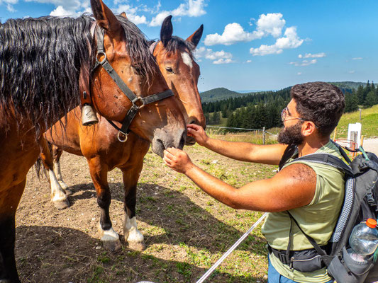 Bilder vom Wanderglück-Wochenende im Allgäu mit Wanderungen über die Nagelfluhkette, gemeinsamen Erlebnissen und gelebter Integration. (hier: Wanderung Stuiben)