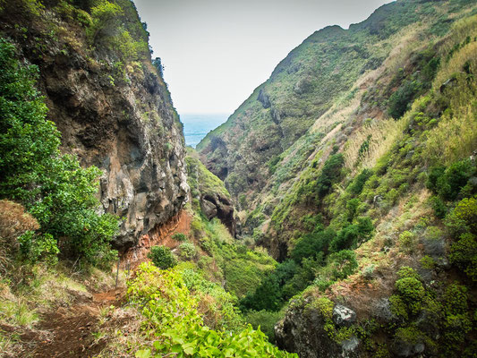 Madeira - die schönsten Wandertouren auf der Blumeninsel (hier: von Achadas da Cruz nach Porto Moniz)