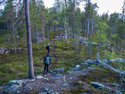 Outdoor Aktivurlaub in Finnland, Lappland. Foto: Wanderung auf dem Piippukallio Trail in Posio.
