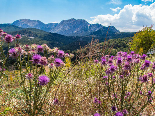 Mehrtagestrekking auf dem Lykischen Weg in der Türkei - wandern fernab der Zivilisation in einer traumhaften Landschaft umgeben von Meer, Klippen und Bergen. (hier: Etappe 16 von Gedelme nach Göynük Yaylasi)