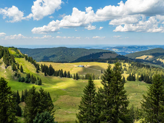 Bilder vom Wanderglück-Wochenende im Allgäu mit Wanderungen über die Nagelfluhkette, gemeinsamen Erlebnissen und gelebter Integration. (hier: Wanderung Stuiben)