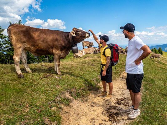 Bilder vom Wanderglück-Wochenende im Allgäu mit Wanderungen über die Nagelfluhkette, gemeinsamen Erlebnissen und gelebter Integration. (hier: Wanderung Steineberg)
