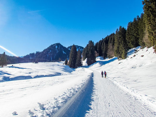 Abwechslungsreiche Schneeschuhtour in den Allgäuer Alpen - hinauf auf's Bleicherhorn, Höllritzereck, Ostertalberg und Tennenmooskopf.