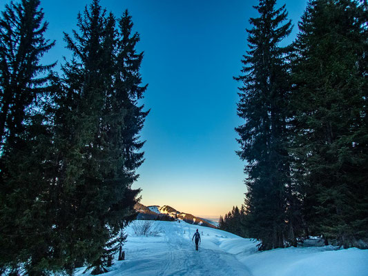 Abwechslungsreiche Schneeschuhtour in den Allgäuer Alpen - hinauf auf's Bleicherhorn, Höllritzereck, Ostertalberg und Tennenmooskopf.