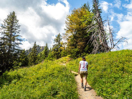 Bilder vom Wanderglück-Wochenende im Allgäu mit Wanderungen über die Nagelfluhkette, gemeinsamen Erlebnissen und gelebter Integration. (hier: Wanderung Steineberg)