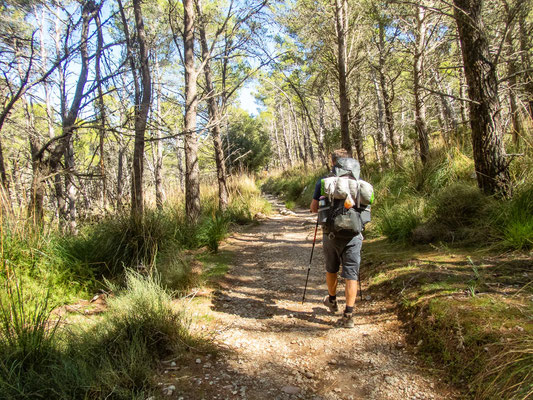 Mehrtagestrekking auf dem GR221 auf Mallorca - Etappe 10 der Wanderung von Sóller zur Font des Noguer (bzw. Tossals Verds)