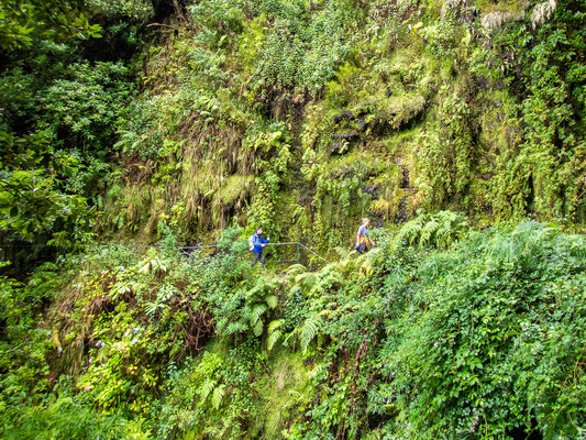 Madeira - die schönsten Wandertouren auf der Blumeninsel (hier: Caldeirao Verde, grüner Kessel und Caldeirao do Inferno, Höllenkessel)