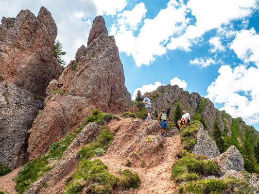Bilder vom Wanderglück-Wochenende im Allgäu mit Wanderungen über die Nagelfluhkette, gemeinsamen Erlebnissen und gelebter Integration. (hier: Wanderung Stuiben)