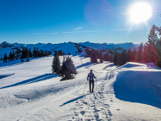Abwechslungsreiche Schneeschuhtour in den Allgäuer Alpen - hinauf auf's Bleicherhorn, Höllritzereck, Ostertalberg und Tennenmooskopf.