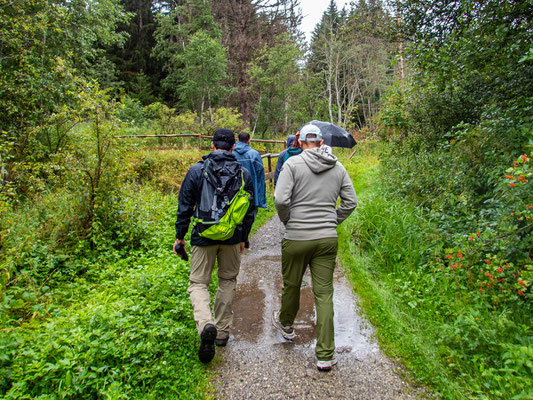Rundwanderung am Grüntensee: Teilnehmende des Integrationsprojekts Wanderglück genießen die gemeinsame Rundwanderung am malerischen Grüntensee im Allgäu, erleben Natur und Gemeinschaft trotz Regen und entdecken die Vielfalt der Landschaft