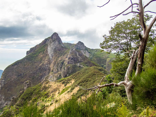 Madeira - die schönsten Wandertouren auf der Blumeninsel (hier: Gipfeltour auf den Pico Grande)