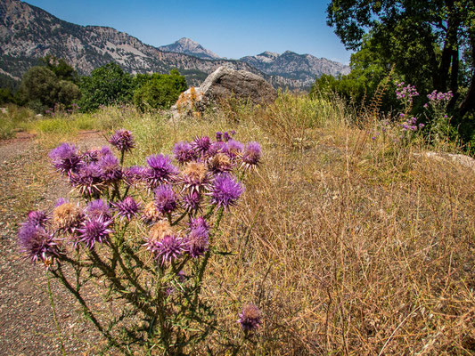 Mehrtagestrekking auf dem Lykischen Weg in der Türkei - wandern fernab der Zivilisation in einer traumhaften Landschaft umgeben von Meer, Klippen und Bergen. (hier: Etappe 16 von Gedelme nach Göynük Yaylasi)
