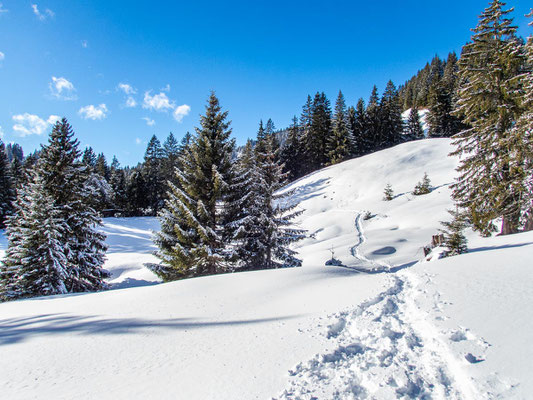 Abseits der üblichen Pfade mit Schneeschuhen auf den Gipfel des Wertacher Hörnle im Allgäu wandern. Ein beeindruckendes Wintererlebnis.