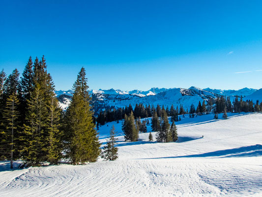 Abwechslungsreiche Schneeschuhtour in den Allgäuer Alpen - hinauf auf's Bleicherhorn, Höllritzereck, Ostertalberg und Tennenmooskopf.