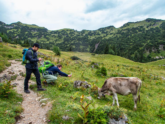 Integrationsprojekt Wanderglück auf dem Gräner Höhenweg zum Füssener Jöchel und weiter hinab zum Haldensee.