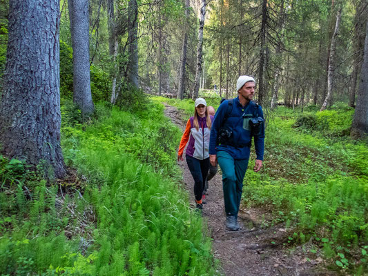 Outdoor Aktivurlaub in Finnland, Lappland. Foto: Wanderung auf dem Piippukallio Trail in Posio.