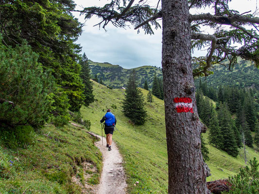 Integrationsprojekt Wanderglück auf dem Gräner Höhenweg zum Füssener Jöchel und weiter hinab zum Haldensee.