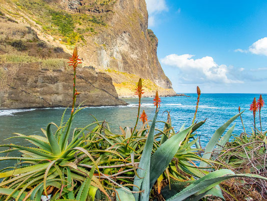 Madeira - die schönsten Wandertouren auf der Blumeninsel (hier: Küstensteig Porto da Cruz nach Machico durch die Boca do Risco)