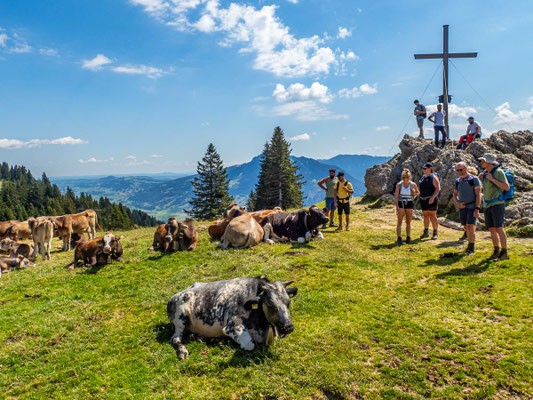 Bilder vom Wanderglück-Wochenende im Allgäu mit Wanderungen über die Nagelfluhkette, gemeinsamen Erlebnissen und gelebter Integration. (hier: Wanderung Bärenkopf)