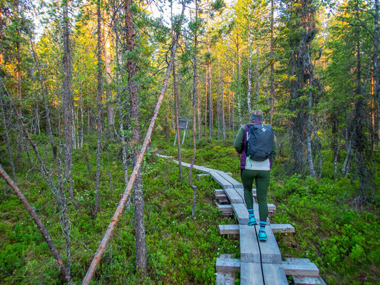 Outdoor Aktivurlaub in Finnland, Lappland. Foto: Wanderung Vaattunkivaarainer Nature Trail