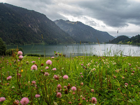 Integrationsprojekt Wanderglück auf dem Gräner Höhenweg zum Füssener Jöchel und weiter hinab zum Haldensee.