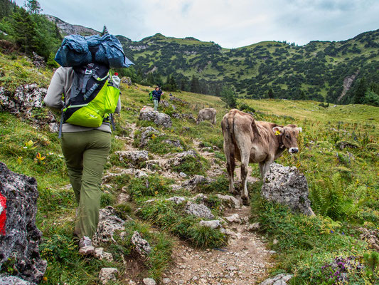 Integrationsprojekt Wanderglück auf dem Gräner Höhenweg zum Füssener Jöchel und weiter hinab zum Haldensee.