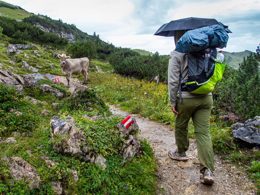 Integrationsprojekt Wanderglück auf dem Gräner Höhenweg zum Füssener Jöchel und weiter hinab zum Haldensee.