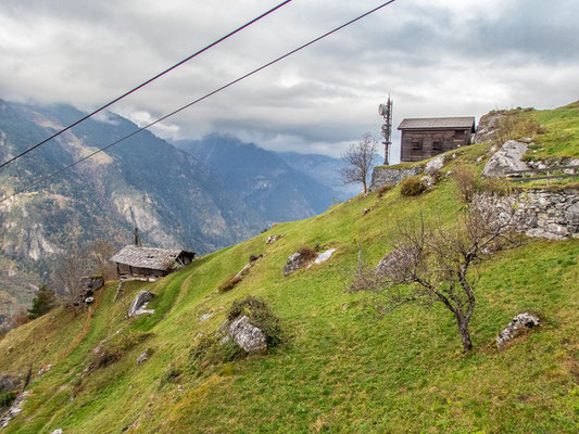 Hexensteig - der ausgefallenen Klettersteig bei Silenen, bei dem es über Baumstämme im Inneren eines Berges nach oben geht.