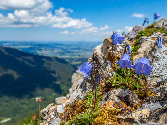 Bilder vom Wanderglück-Wochenende im Allgäu mit Wanderungen über die Nagelfluhkette, gemeinsamen Erlebnissen und gelebter Integration. (hier: Wanderung Steineberg)