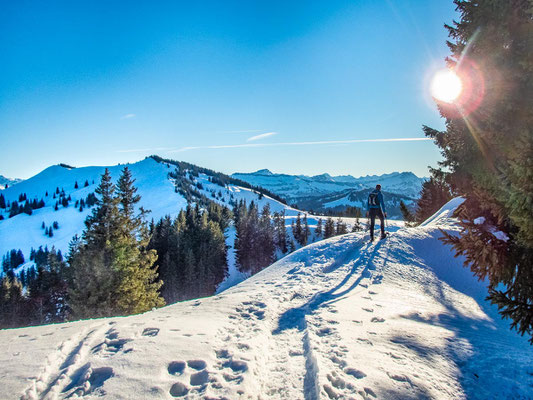 Abwechslungsreiche Schneeschuhtour in den Allgäuer Alpen - hinauf auf's Bleicherhorn, Höllritzereck, Ostertalberg und Tennenmooskopf.