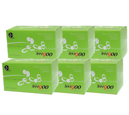 カワイ900 - 乳酸球菌カワイ株 カワイ900 - 乳酸球菌カワイ株