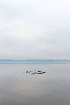 Grado