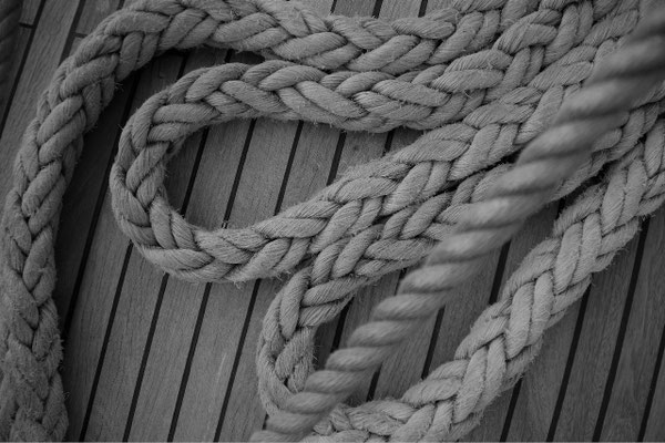 Sedov 18/91